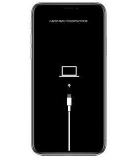 Erreur Logiciel iPhone XI RNL