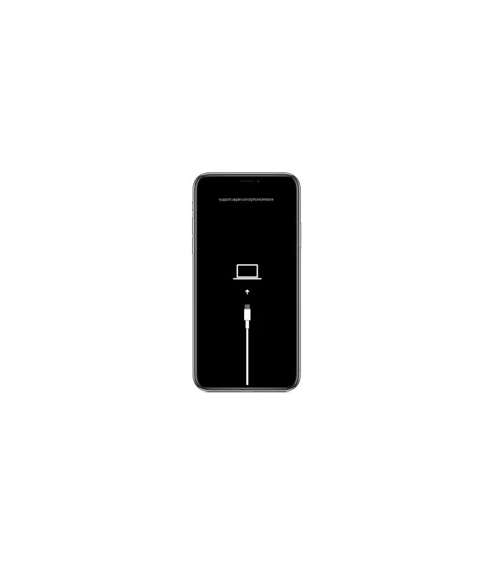 Erreur Logiciel iPhone XI RNL