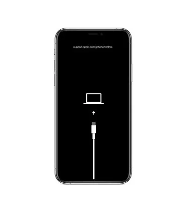 Erreur Logiciel iPhone XI RNL