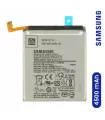 Forfait Réparation Samsung S10 Lite G770F Batterie interne
