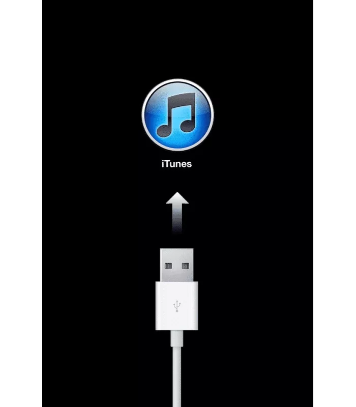 Erreur Logiciel iphone SE 2generation RNL
