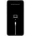 Erreur Logiciel iPhone 12 Mini RNL