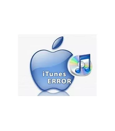 Erreur Logiciel iPad mini RNL