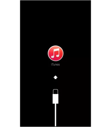 Erreur Logiciel iPad Pro 9"7 RNL