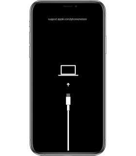 Erreur Logiciel iPhone XR RNL