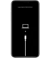 Erreur Logiciel iPhone XR RNL