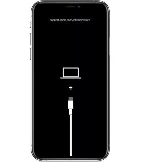 Erreur Logiciel iPhone XS Mas RNL